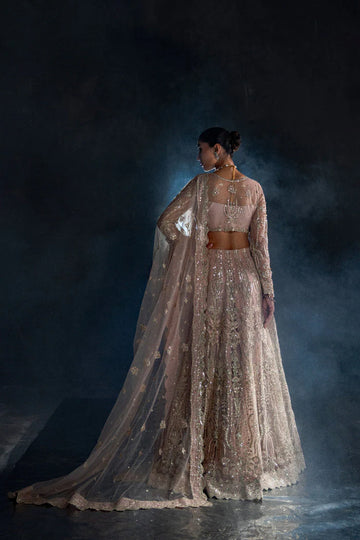 Enzo | Rever Dore | Maeve